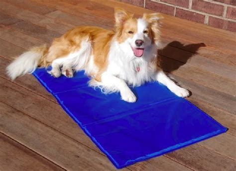 Understanding the Benefits of Cool Mats