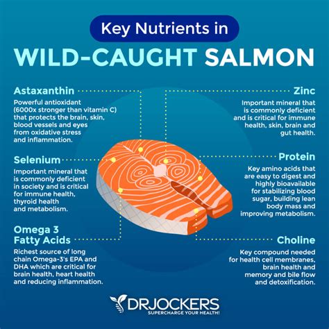 Understanding the Benefits of Salmon and Rice