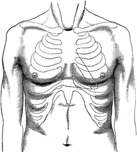 Understanding the Blank Chest