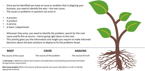 Understanding the Causes: A Root Analysis