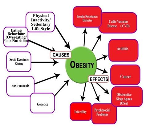 Understanding the Causes and Consequences of Obesity