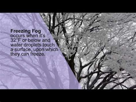 Understanding the Causes of Fog