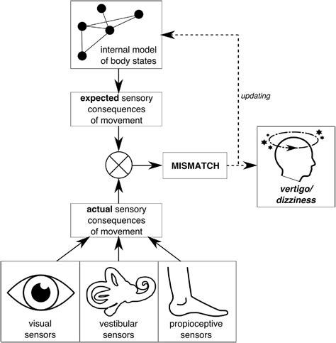 Understanding the Challenge: The Physiology of Dizziness