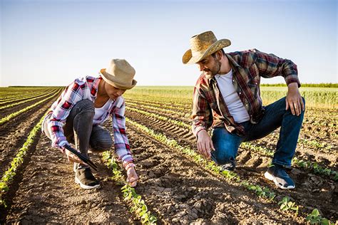 Understanding the Challenges: A Farmer's Perspective