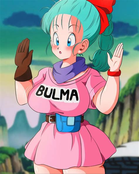 Understanding the Character: Bulma Briefs