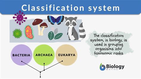 Understanding the Classification System