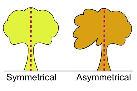 Understanding the Concept of Asymmetrical Cuts