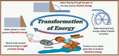 Understanding the Concept of Energy Conversion