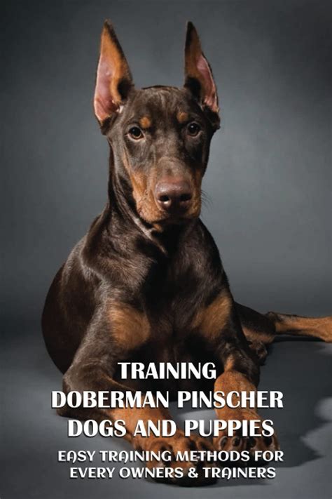 Understanding the Cora Doberman Training Method