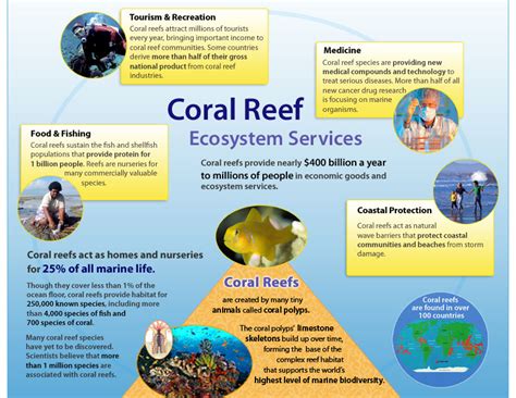 Understanding the Coral Sign In