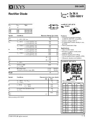 Understanding the DSI2X55-12A