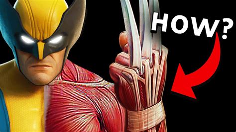 Understanding the Design of Wolverine's Claws