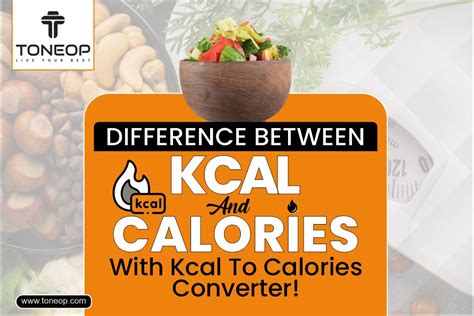 Understanding the Difference between Kcalories and Calories