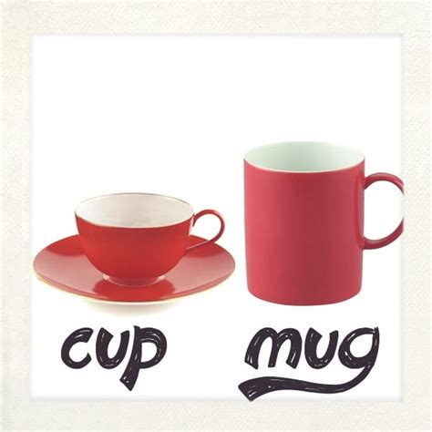 Understanding the Differences: Cups & Teaspoons