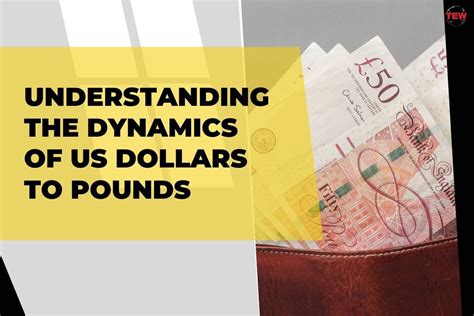 Understanding the Dynamics of the US Dollar