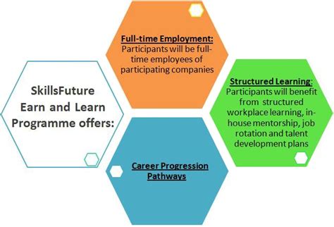 Understanding the Earn and Learn Programme