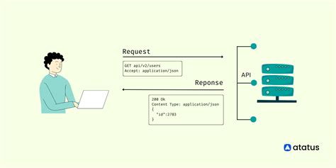 Understanding the Echo API Response Structure: A Comprehensive Guide