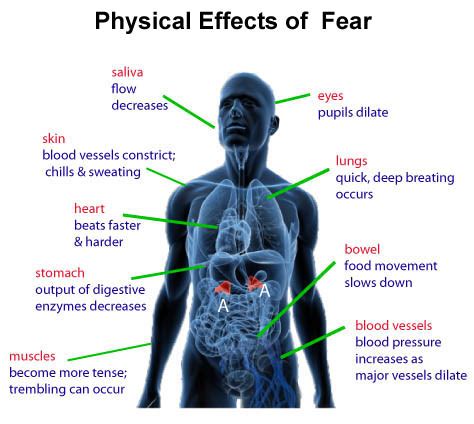 Understanding the Effects of Fear on Our Lives