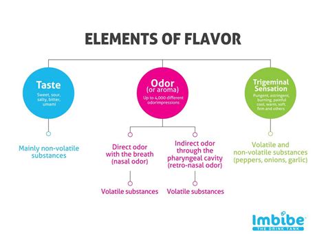 Understanding the Elements of Lush Flavors