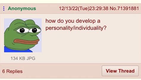 Understanding the Enigma of 4chan /y/