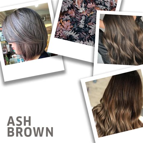 Understanding the Essence of Ashy Brown Hair Color