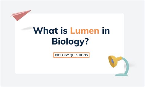 Understanding the Essential Concept of Lumen Definition in Biology