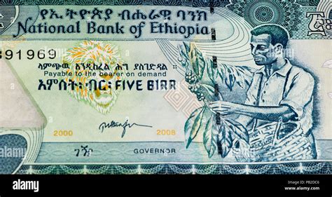 Understanding the Ethiopian Birr