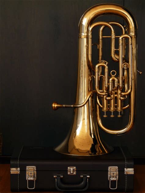 Understanding the Euphonium's Unique Character