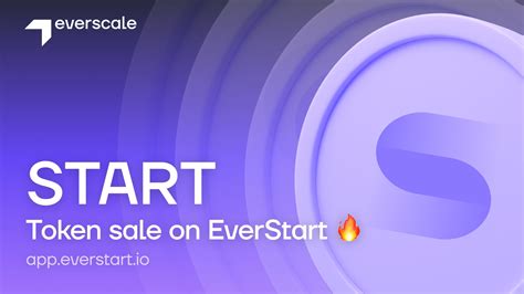 Understanding the Eveestarr Platform