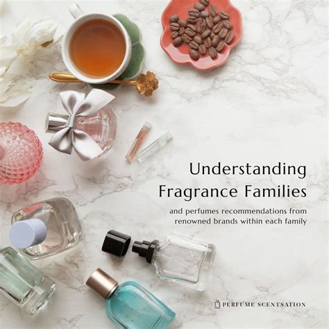 Understanding the Fragrance