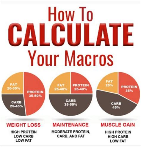 Understanding the Fundamentals: Calories, Macros, and Weight Training