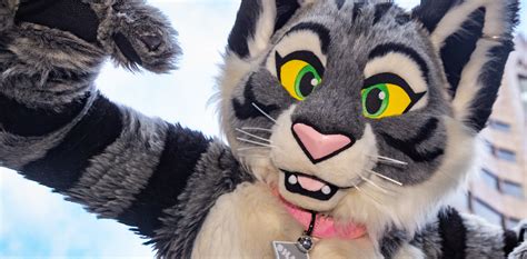 Understanding the Fursuit Market