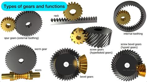 Understanding the Gears of Survival: Key Concepts