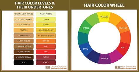 Understanding the Hair Color Wheel