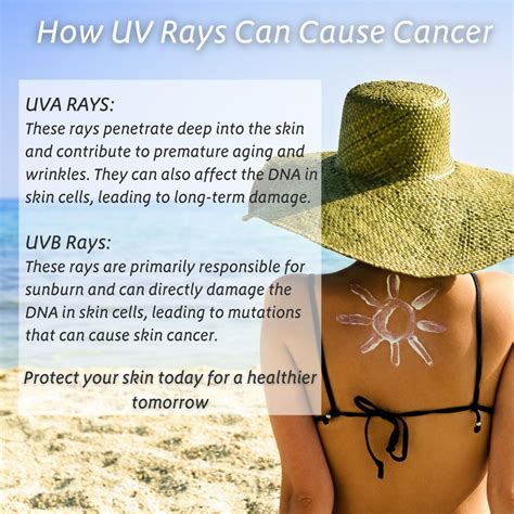 Understanding the Hazards of Sun Exposure