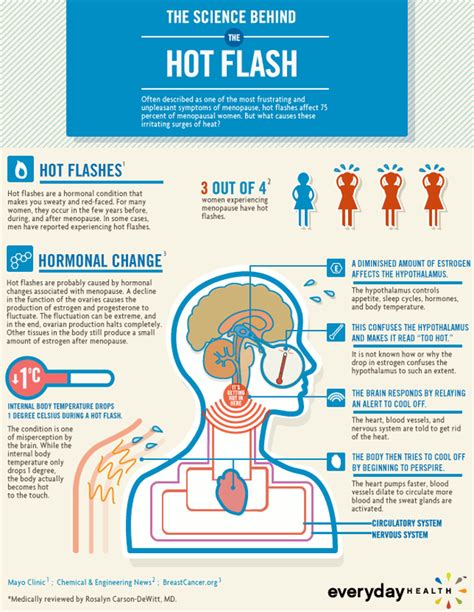 Understanding the Heat Wave: Hot Flashes and Night Sweats