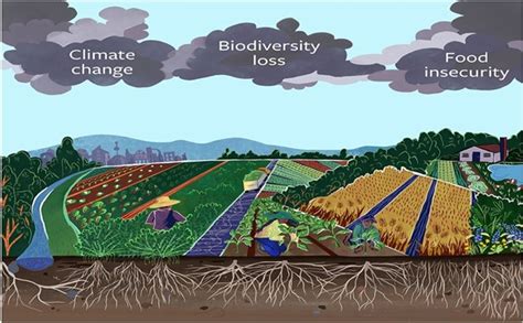 Understanding the Impact of Climate Change on Global Food Security