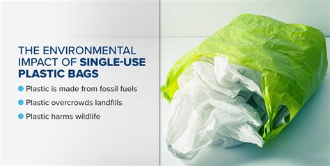 Understanding the Impact of Single-Use Plastic Bags