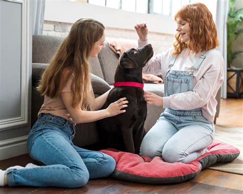 Understanding the Importance of Pet-Friendly Design