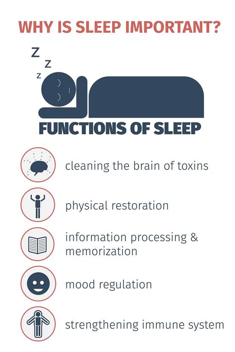 Understanding the Importance of Sleep