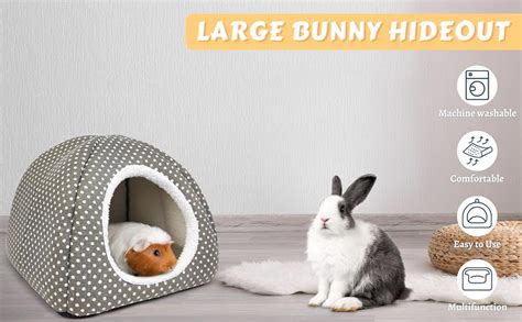 Understanding the Importance of a Bunny Hideout