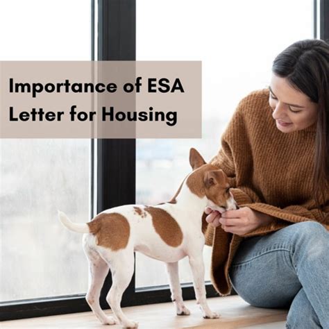 Understanding the Importance of an ESA Letter