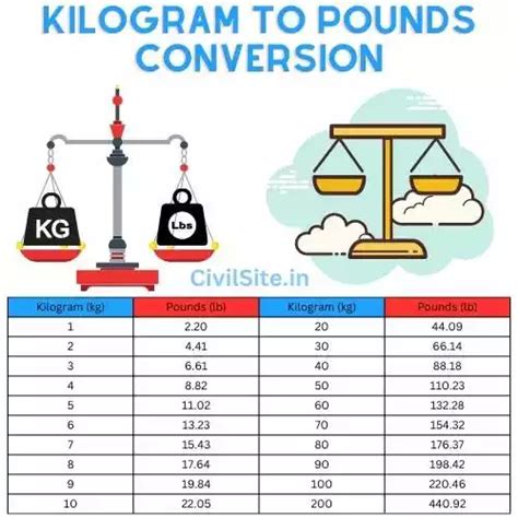 Understanding the Kilogram and Pound