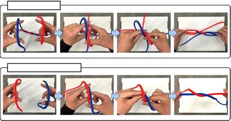 Understanding the Knot System