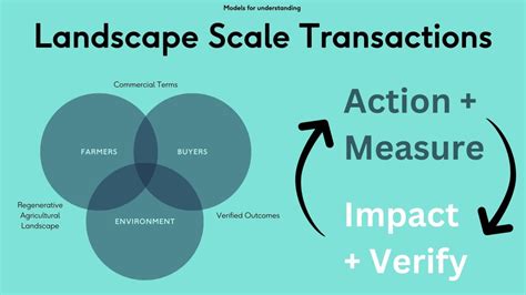 Understanding the Landscape of Cheats