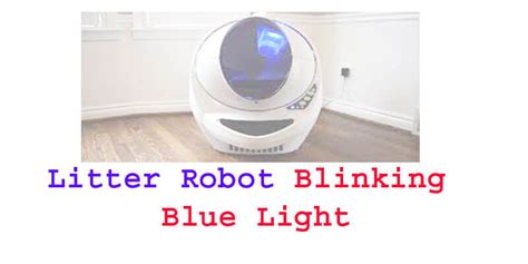 Understanding the Litter-Robot Blinking Blue Light: Troubleshooting for Feline Hygiene Maintenance