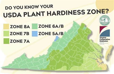 Understanding the Masters Landscape