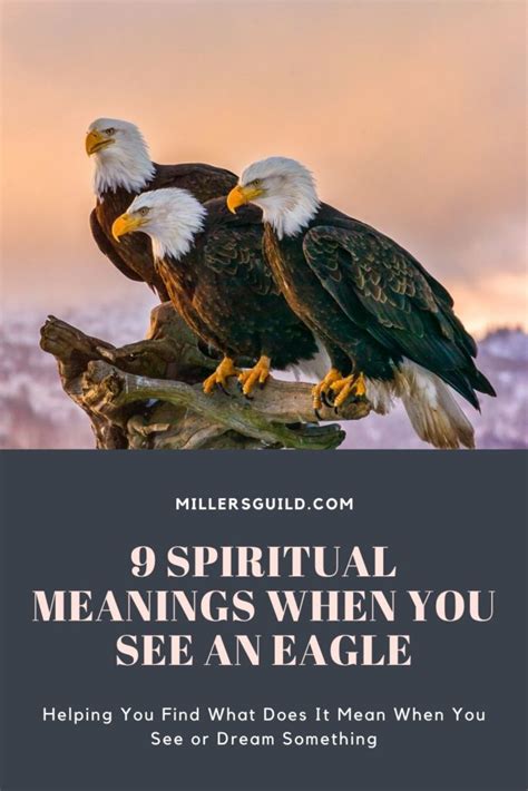 Understanding the Meaning and Symbolism of Eagles