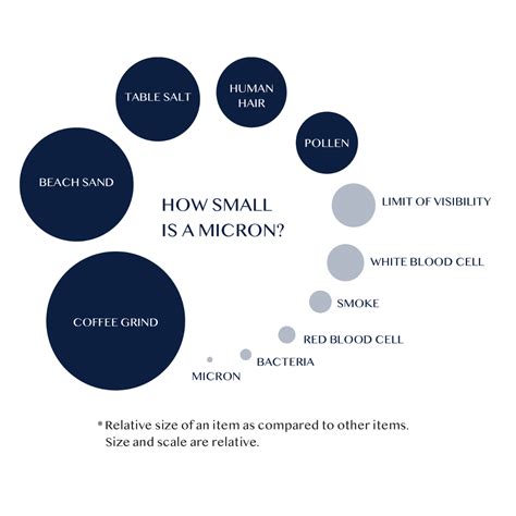 Understanding the Micron