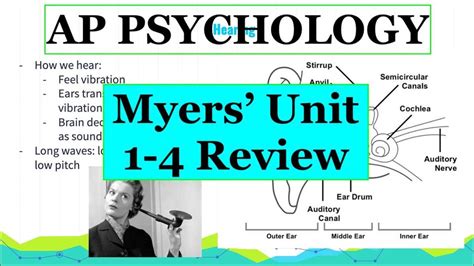 Understanding the Myers AP Psychology Exam